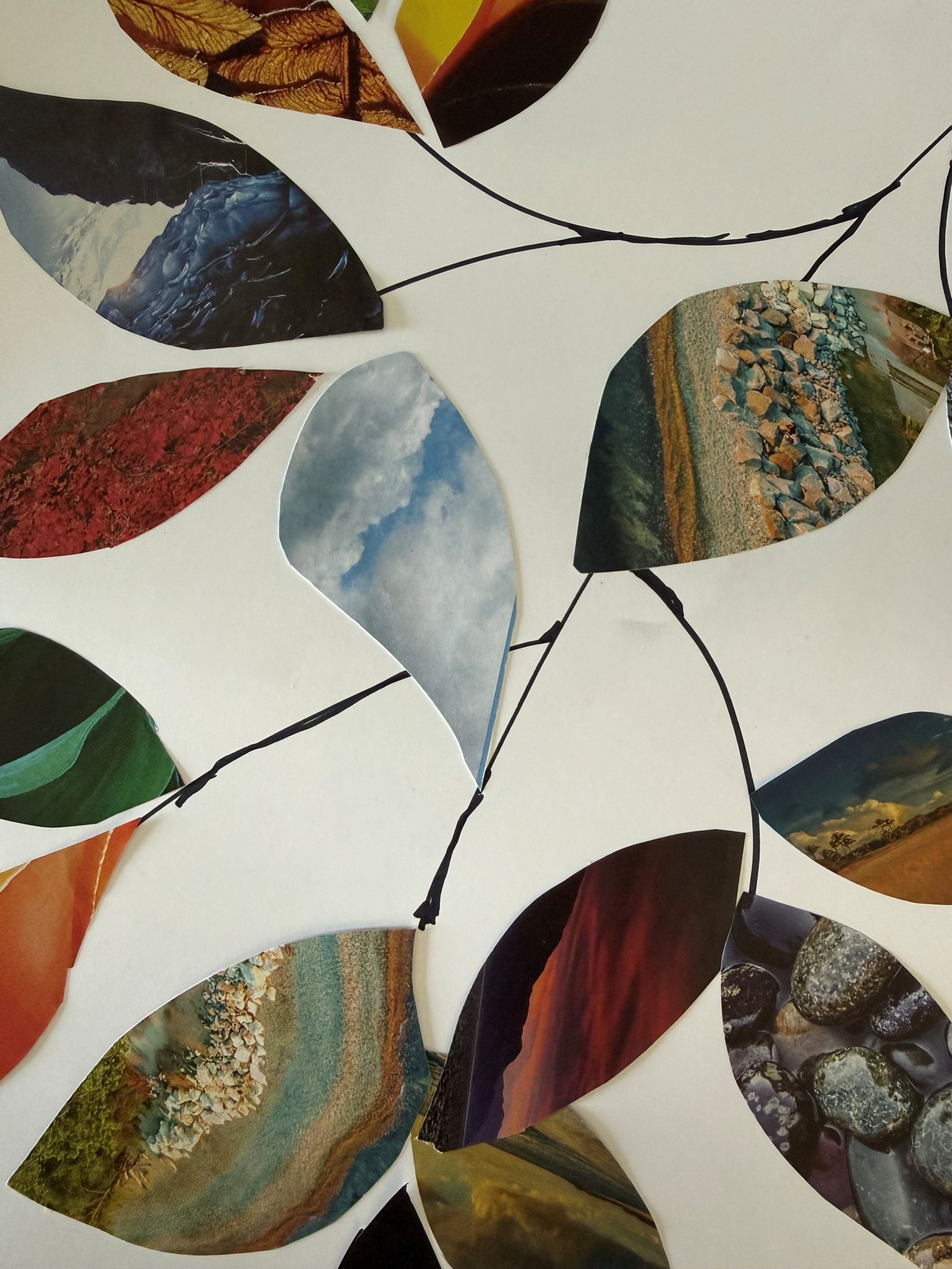 A framed artwork on display in the Sheboygan Senior Community gallery space